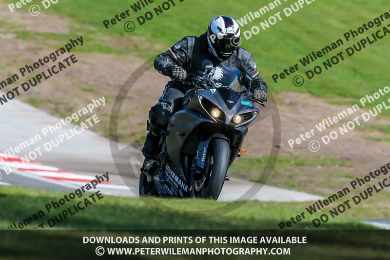 Oulton Park 20th March 2020;PJ Motorsport Photography 2020;anglesey;brands hatch;cadwell park;croft;donington park;enduro digital images;event digital images;eventdigitalimages;mallory;no limits;oulton park;peter wileman photography;racing digital images;silverstone;snetterton;trackday digital images;trackday photos;vmcc banbury run;welsh 2 day enduro